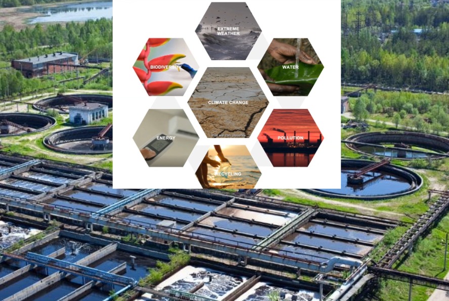 Environmental Leadership